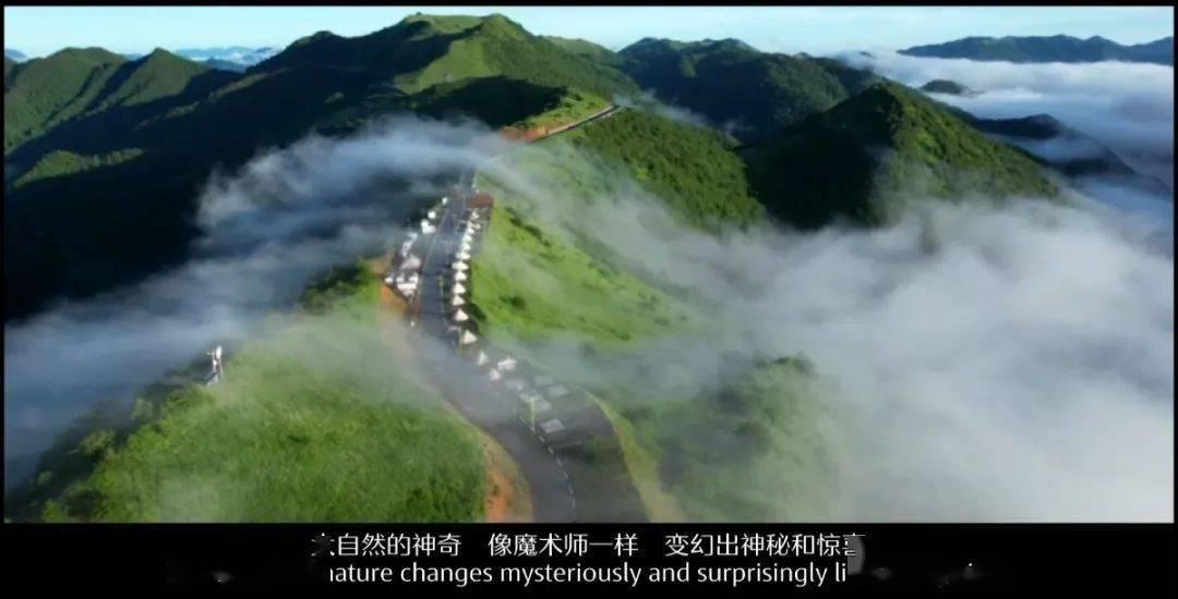 《要久久爱》好剧不怕晚,杨紫抗剧能力再次被验证,不管男主是谁